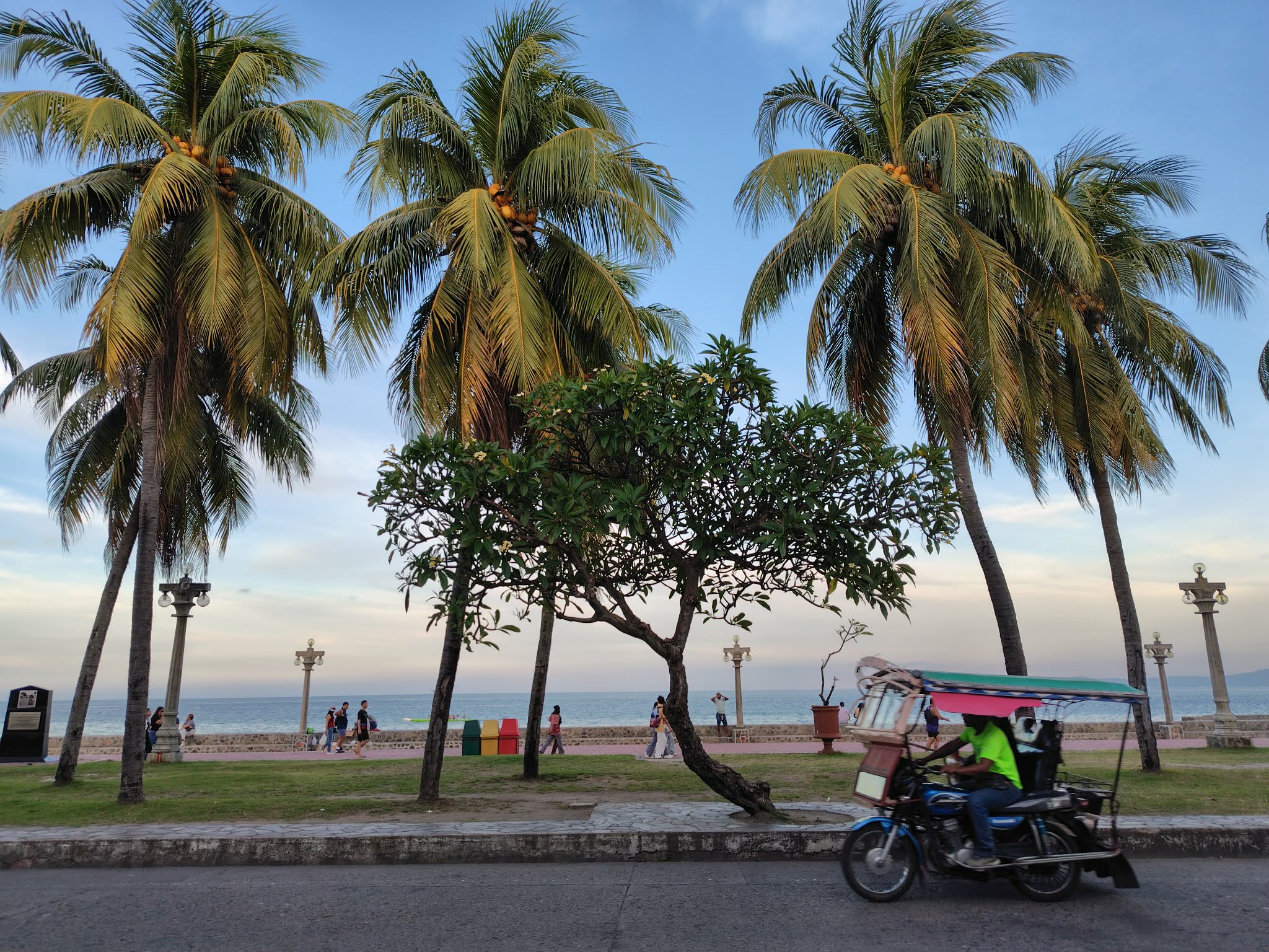 フィリピン教育移住は英語だけじゃない!世界で生き抜く「5つの教養」とサバイバル術 フィリピン教育移住は英語だけじゃない!世界で生き抜く「5つの教養」とサバイバル術